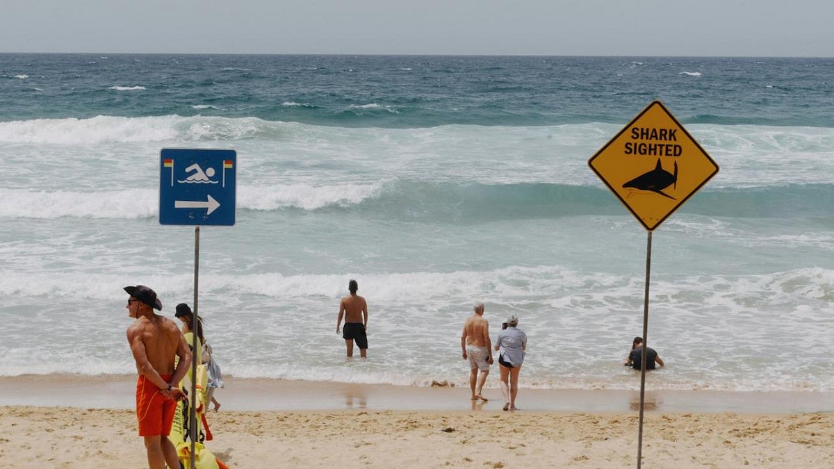 Man dies after shark bite off Western Australia coast