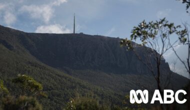 Illegal tracks and bike activity monitored by rangers on kunanyi/Mount Wellington