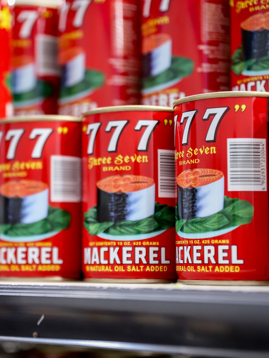 Rows of brightly coloured cans of tinned mackerel for sale on a supermarket shelf