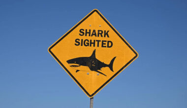 Fatal shark attack at popular diving and fishing spot
