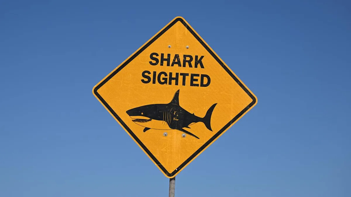 Fatal shark attack at popular diving and fishing spot