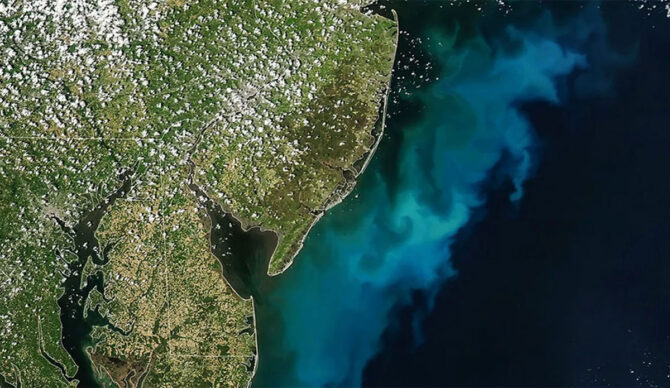 Phytoplankton bloom of US Eastern seaboard
