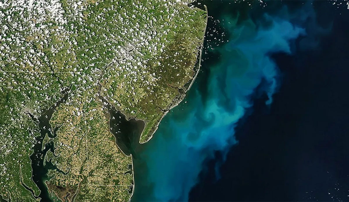 Phytoplankton bloom of US Eastern seaboard
