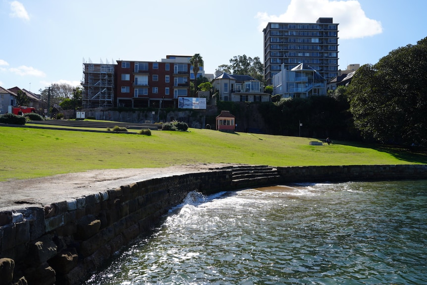 Blues Point Reserve on a sunny day.