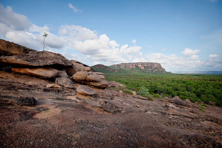 A vast green landscape viewed from a rock