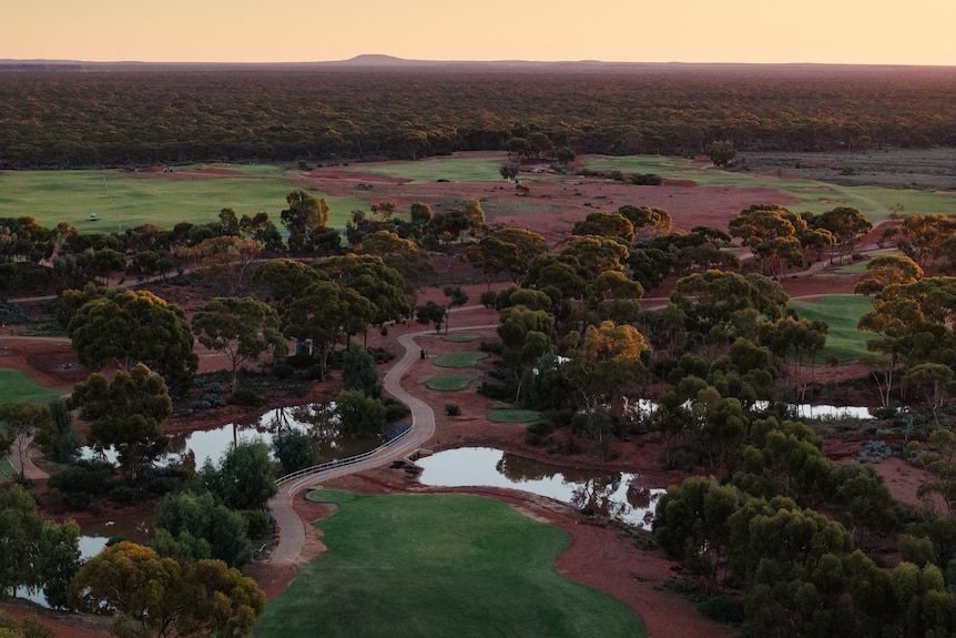 A drone photograph of a grass golf course at sunset.