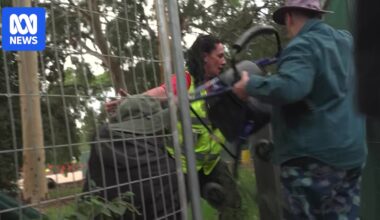 Activist, 78, arrested at North Adelaide Golf Course, as protesters chain themselves to machinery