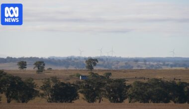 Renewables company ACEREZ destroys Indigenous rock shelter