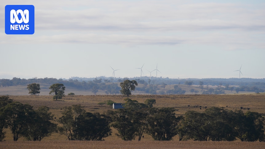 Renewables company ACEREZ destroys Indigenous rock shelter
