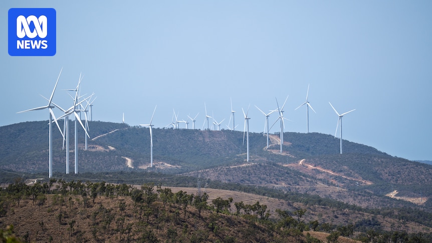 Tax slug threatens clean energy 'flight' despite record federal support, says investor lobby