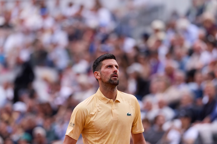 Novak Djokovic looks up