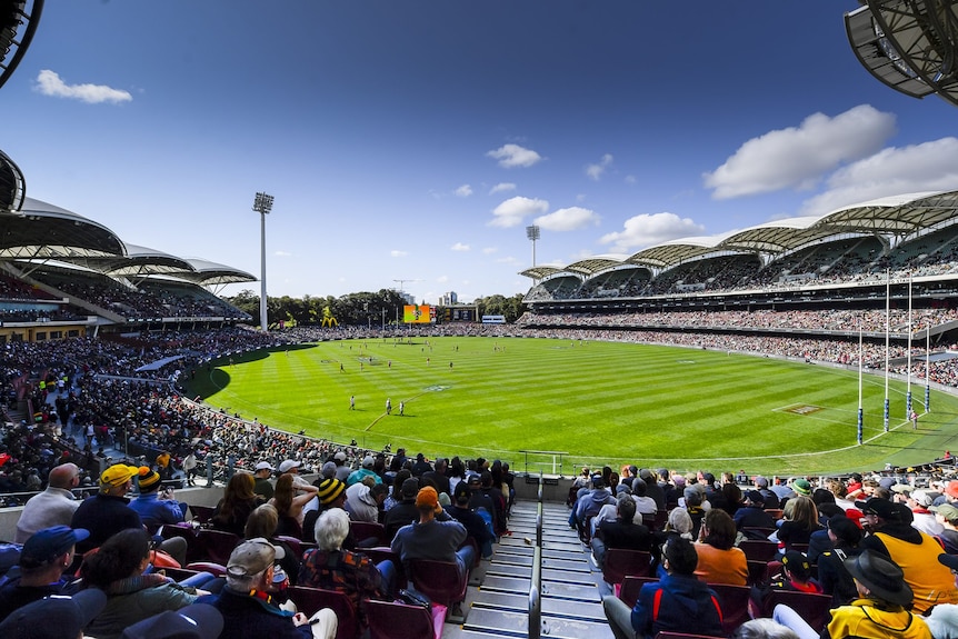 Thousands of people in a football stadium on a sunny day.