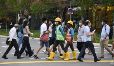 No shifts in firms' hiring preferences between locals and foreigners for now: Tan See Leng
