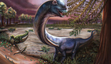 New dinosaur weighing as much as 9 elephants identified by scientists