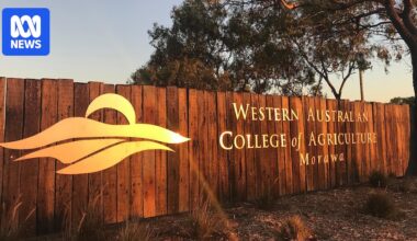 School in mouse-infested WA town closed after toxic bait spread on grounds