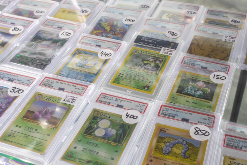 A shelf filled with graded English and Japanese pokemon cards.
