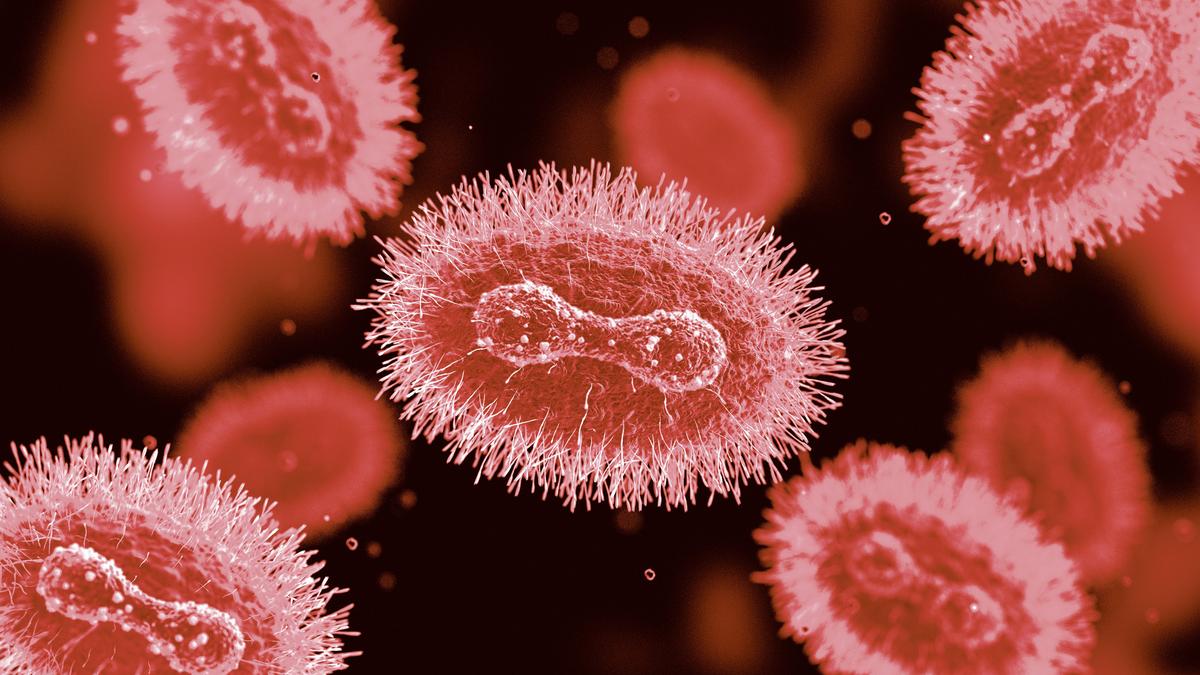 Mpox in WA: Health authorities issue fresh warning over rising case numbers of nasty viral infection