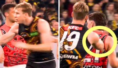 Richmond win over Essendon in AFL