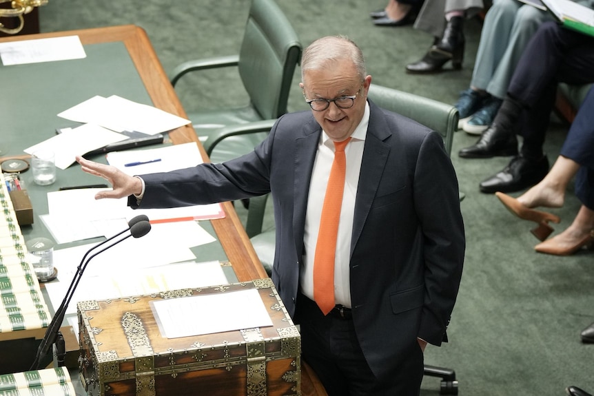 Anthony Albanese points in the lower house.