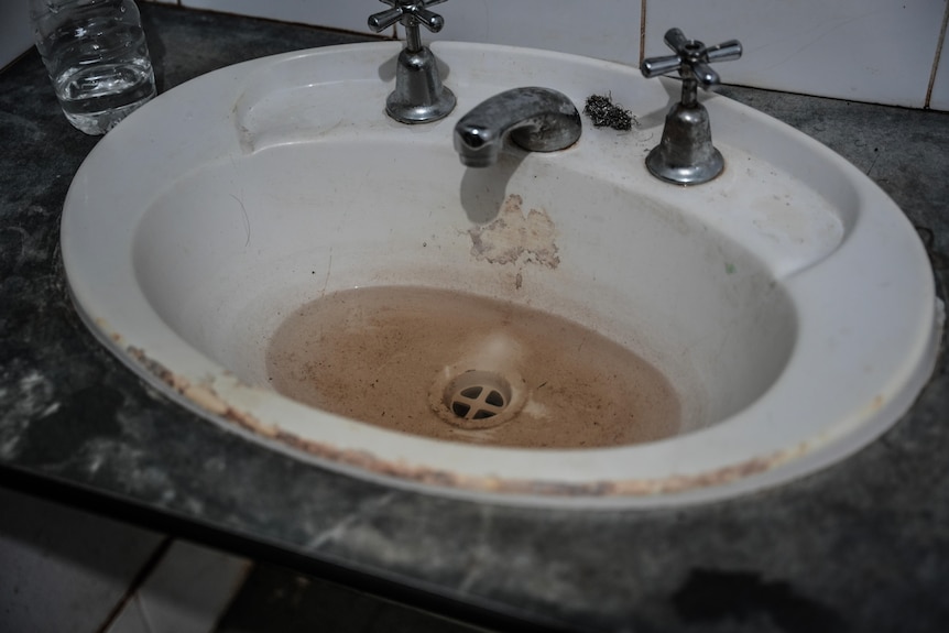 A bathroom sink with brown water in it and cockroach near tap.