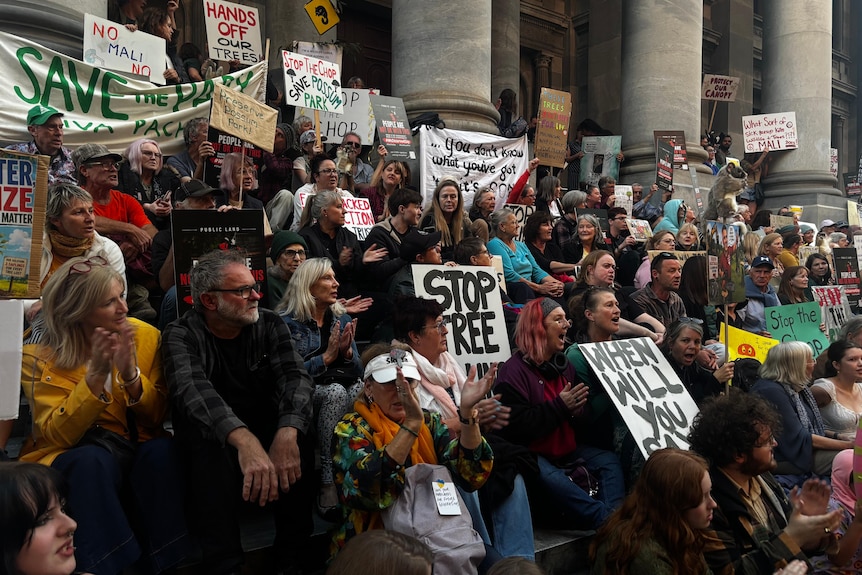 Hundreds of protesters gather on the steps of South Australia's parliament.