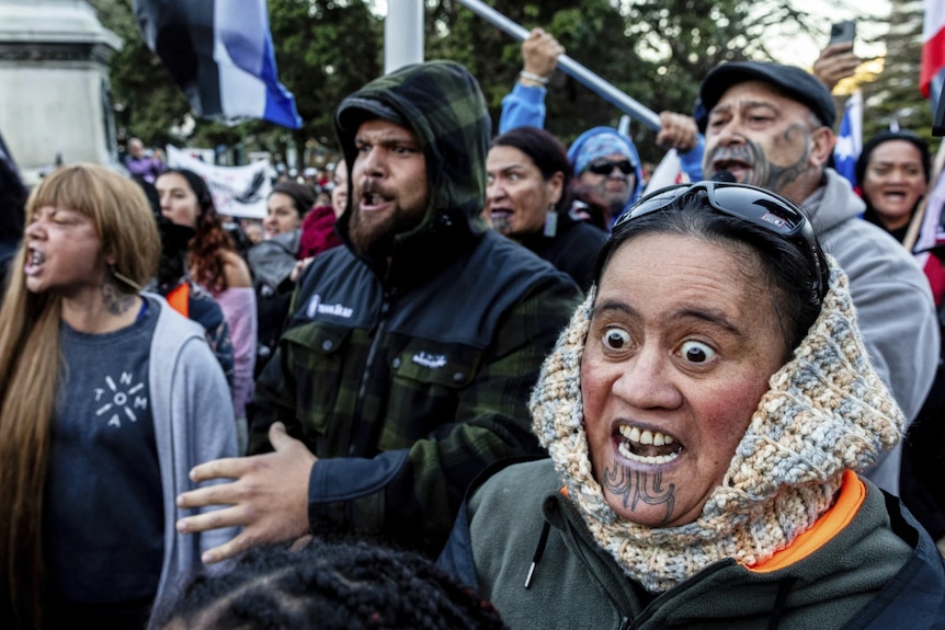 Protestors perform a haka in a large crowd