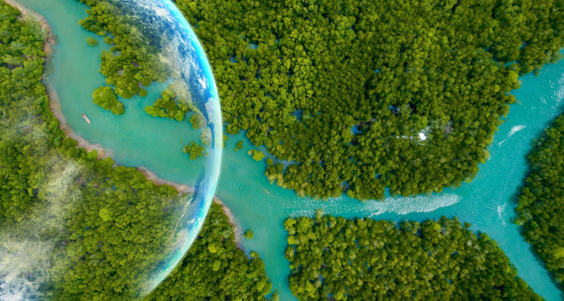 Researchers turn sunlight and CO2 into living biomass