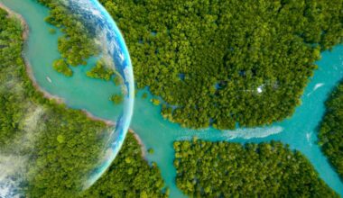 Researchers turn sunlight and CO2 into living biomass