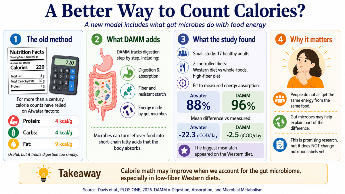counting calories infographic