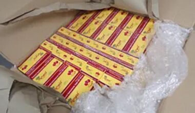 Over 32,000 unapproved pills headed to Georgia seized by Philadelphia CPB officers, officials say