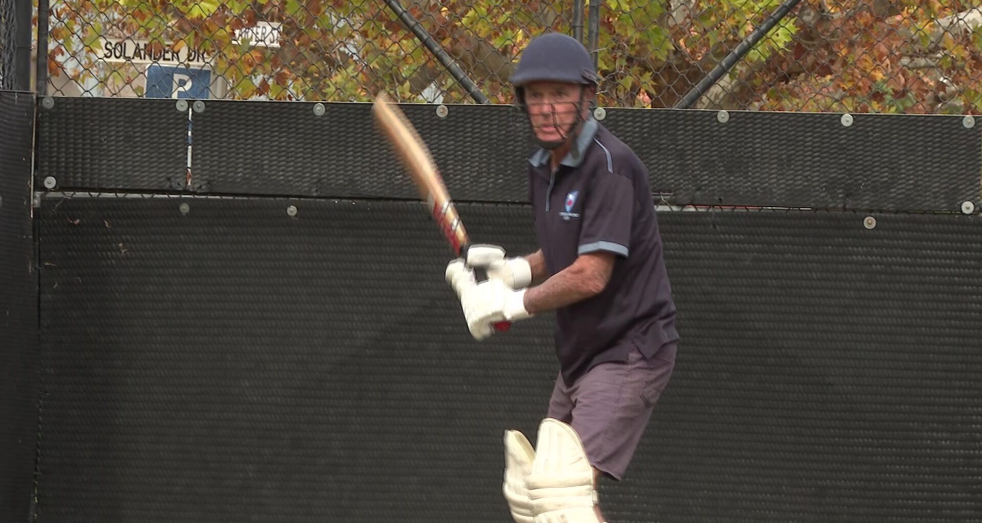 Veteran players to travel to QLD for cricket State of Origin – NBN News
