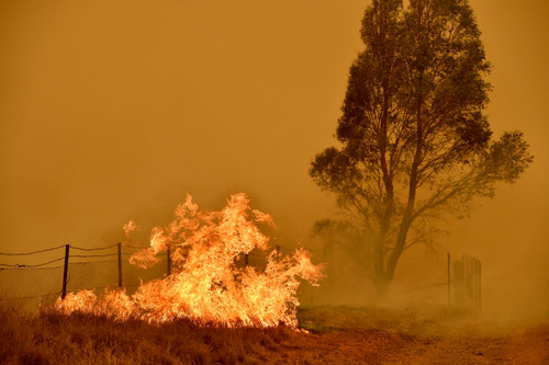 #IFJBlog: The Heat Is On: Australia’s misinformation maelstrom