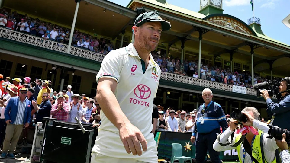 David Warner (file)