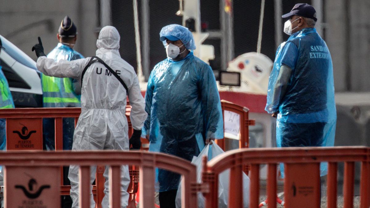 Hantavirus: Four Australians, New Zealand national to land in Perth after being on infected cruise ship