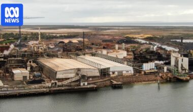 Australia's smelters are asking for more taxpayer funding to compete with China on critical minerals like antimony