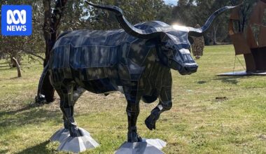 Art allows inmates at Macquarie Correctional Centre to support their families