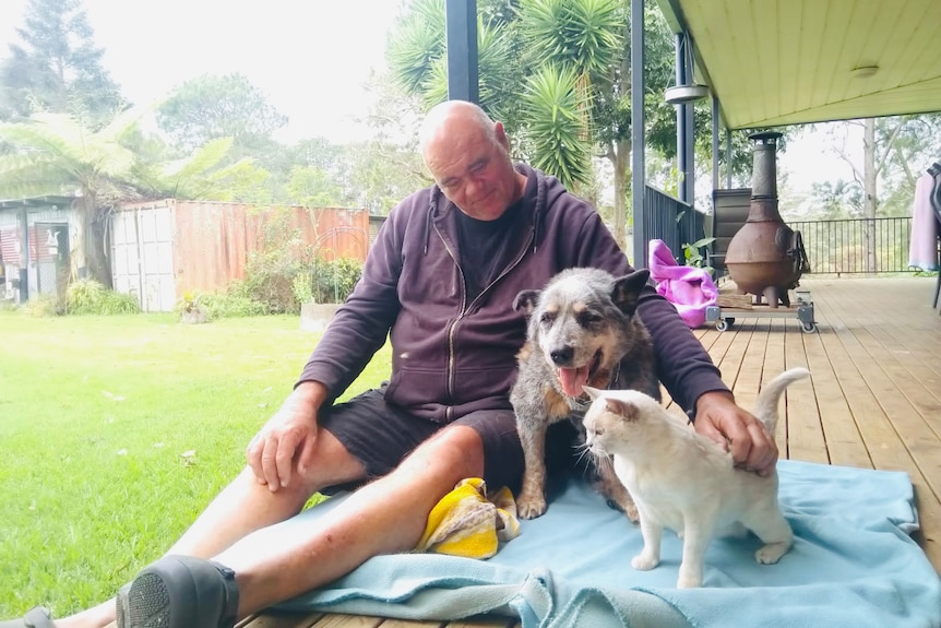 A man sitting on a back patio with a blue cattle dog and a white cat