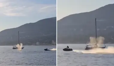 Vancouver whale watchers horrified after jet ski rider collides with grey whale near Stanley Park