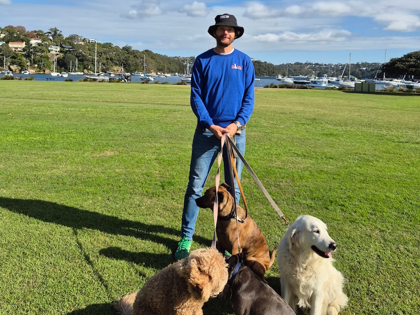 A man smiling with dogs in a park on a harbour foreshore.