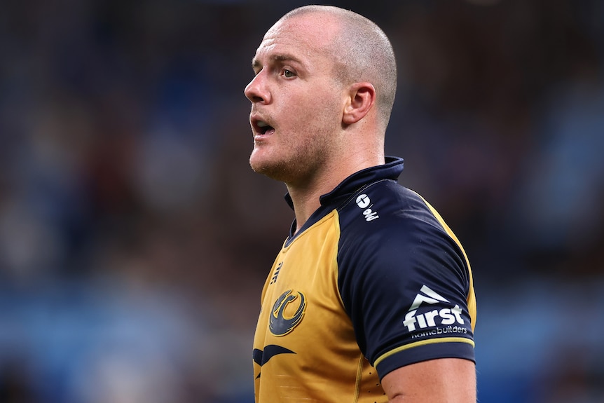 Dylan Pietsch looks on during a Western Force match.