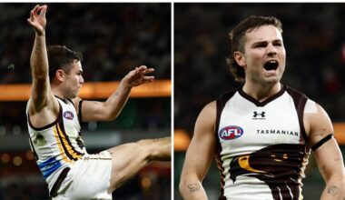 ‘Extraordinary error’: AFL world ‘baffled’ by no-goal as Hawks issue please explain