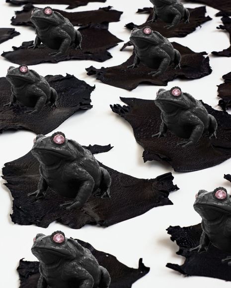 Toad Takeover: From Pest to Purpose on at Le Space, Collingwood, from 14–24 May.