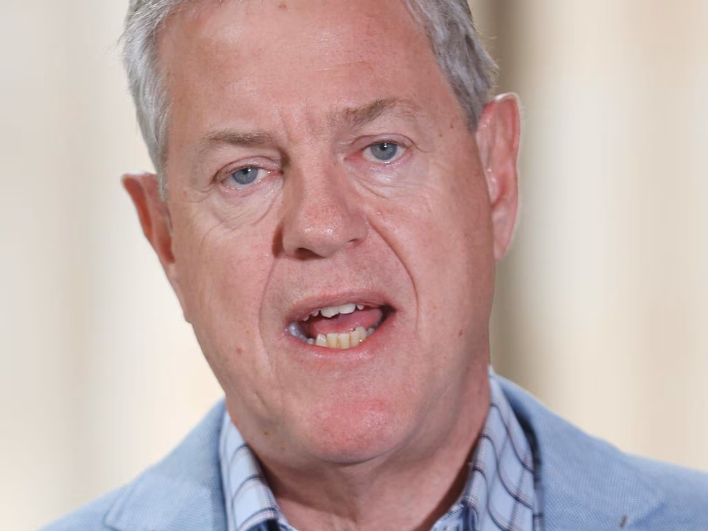 Tim Nicholls rules out axing mental health levy after damning report - The Courier Mail