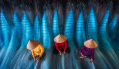 Call for Application - 17th edition of the Epson International Pano Awards