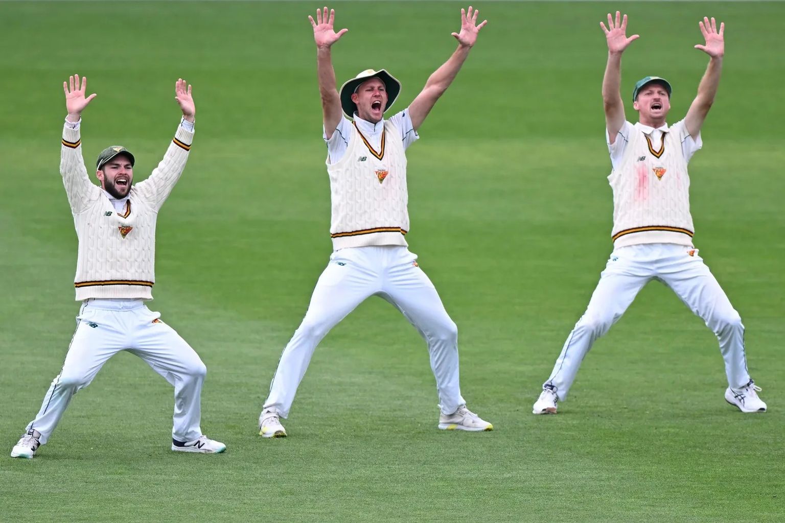 Cricket Tasmania unveils Tigers men’s squad for 2026-27 season