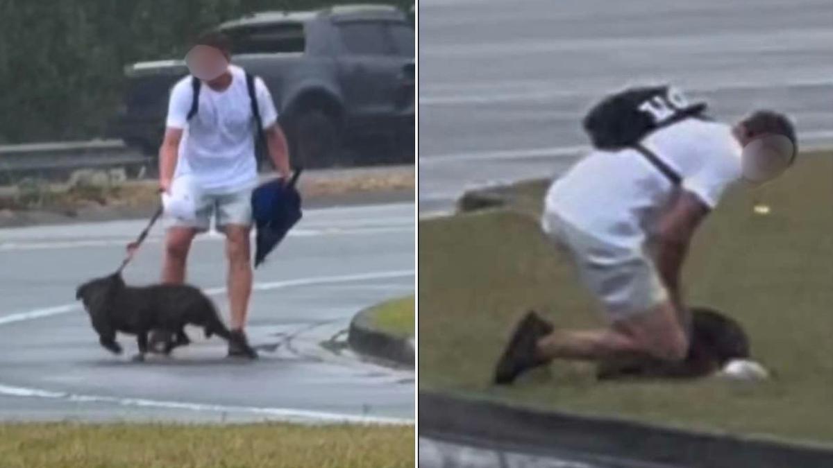 ‘Pulling, choking, kicking’: Dog cruelty claims spark police appeal on Queensland’s Gold Coast