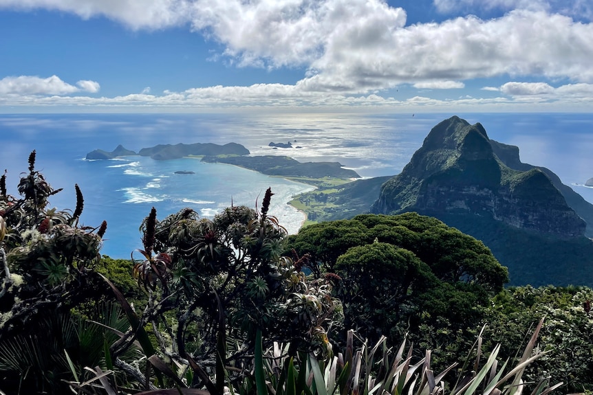 Views over the top of long and narrow Lord Howe Island from Mt Gower.