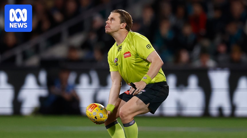 AFL umpire Nick Foot's betting agency role over after tribunal case