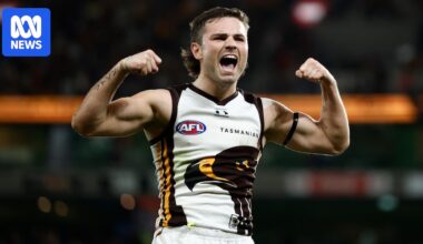 AFL backs controversial decision to disallow Hawks' goal against Saints