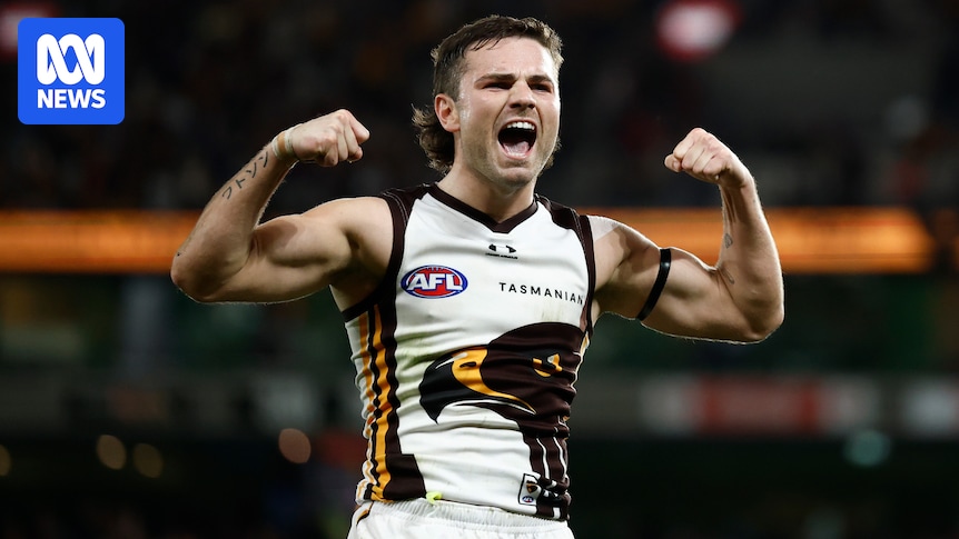 AFL backs controversial decision to disallow Hawks' goal against Saints
